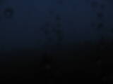 04 : 16
