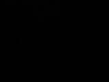 03 : 44