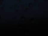21 : 44