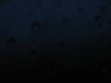 04 : 12
