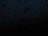 21 : 40