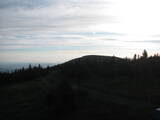 19 : 36