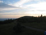 20 : 40