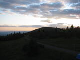 20 : 40
