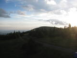 20 : 16