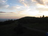 20 : 44