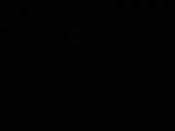 04 : 08