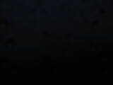 04 : 24