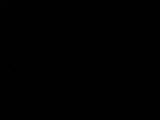 Záznam