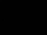 Záznam