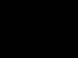 Záznam