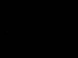 Záznam