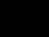 Záznam
