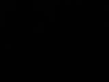 22 : 24