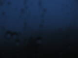 05 : 44