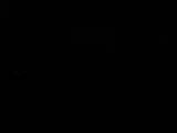 20 : 40