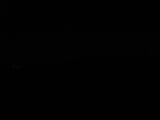 Záznam