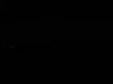 Záznam
