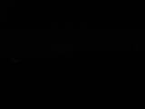 Záznam