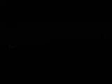 Záznam