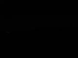 Záznam