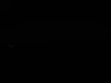 Záznam