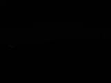Záznam