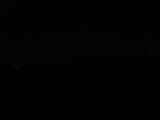 Záznam