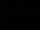 Záznam