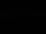 Záznam