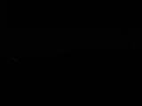 Záznam