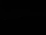 Záznam