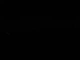 Záznam