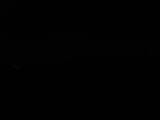 Záznam