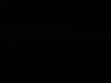 Záznam
