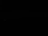 Záznam