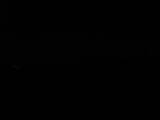 Záznam