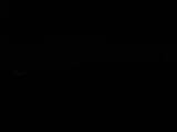 Záznam