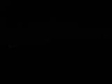 Záznam