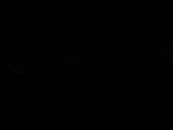 Záznam