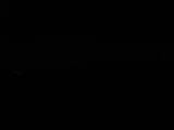 Záznam