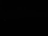 Záznam