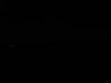 Záznam