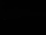 Záznam