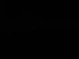 Záznam