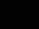 Záznam