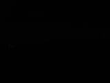Záznam