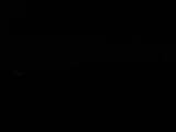 Záznam