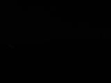 Záznam