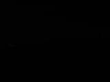 Záznam